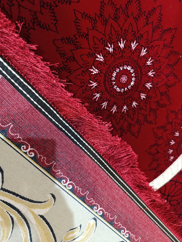 نمای پشت فرش دلارا