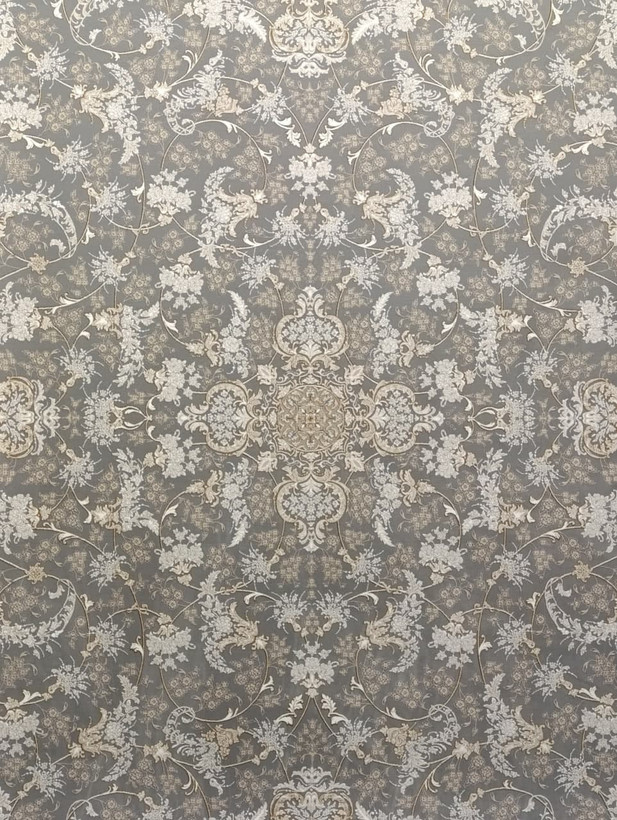 نمای بوم فرش ویکتور